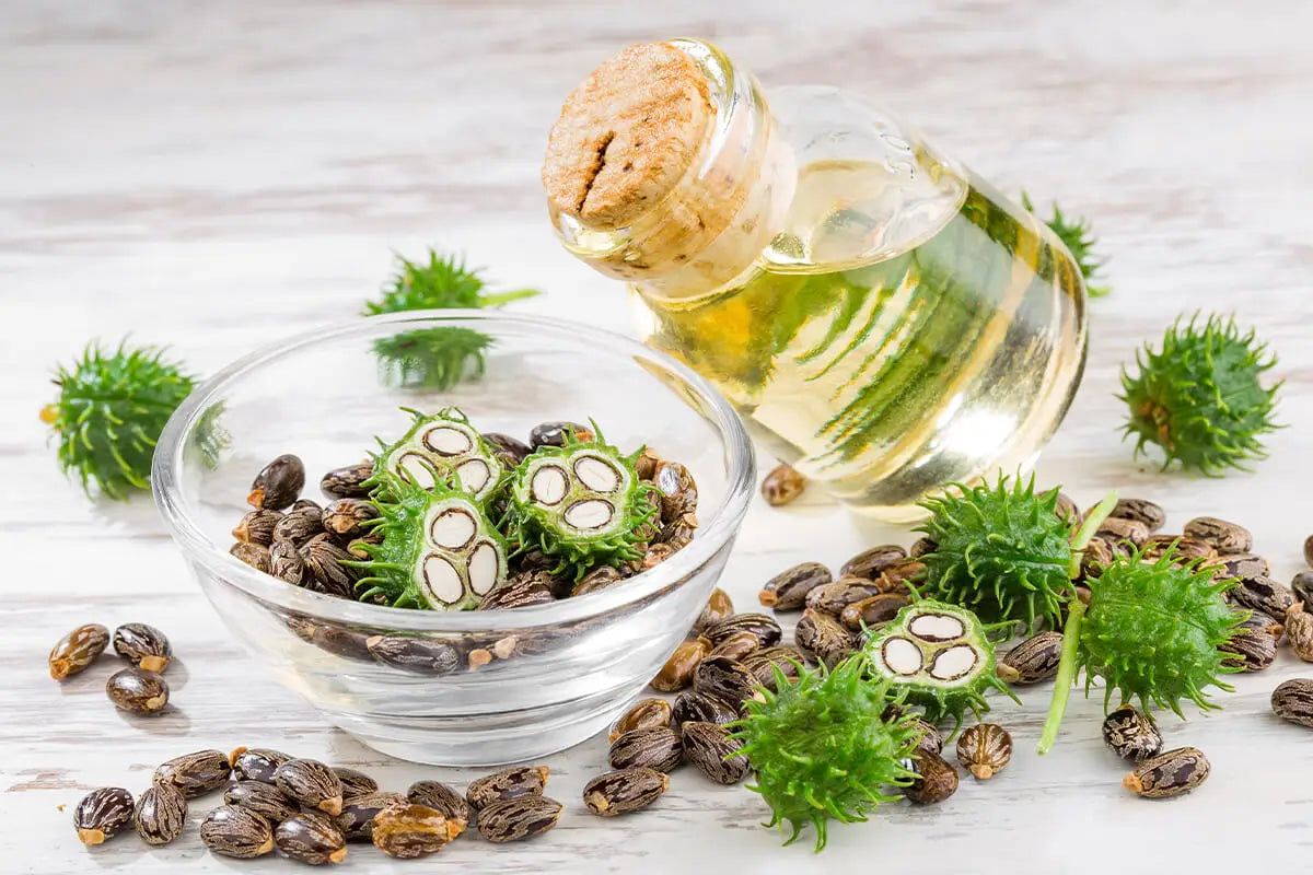 Castor Seed Oil - Pure Natural Oil by Mamia Seeds