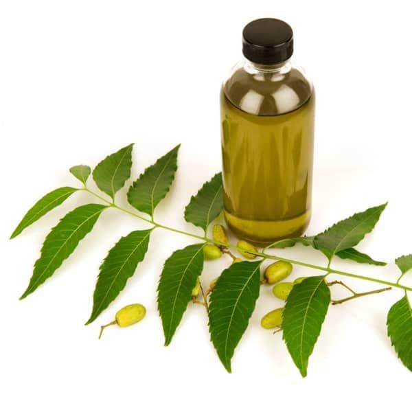 Neem Seed Oil - Pure Natural Oil by Mamia Seeds